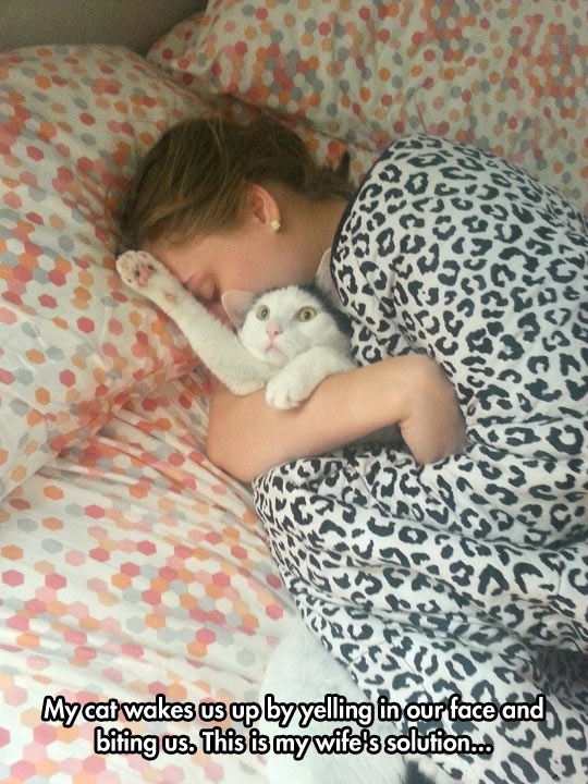 funny-cat-waking-up-hug-wife