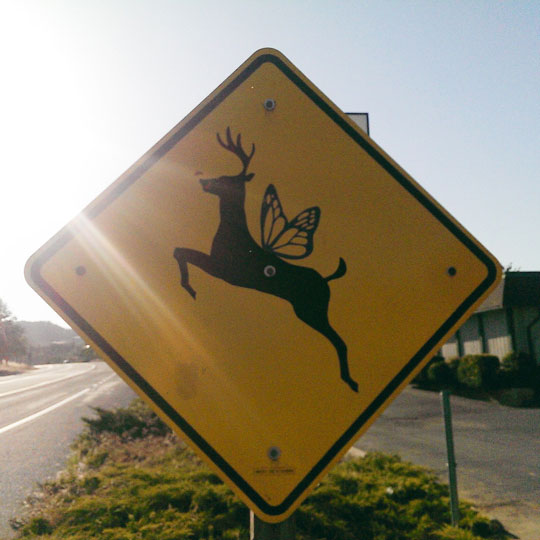 funny-deer-crossing-sign-wings