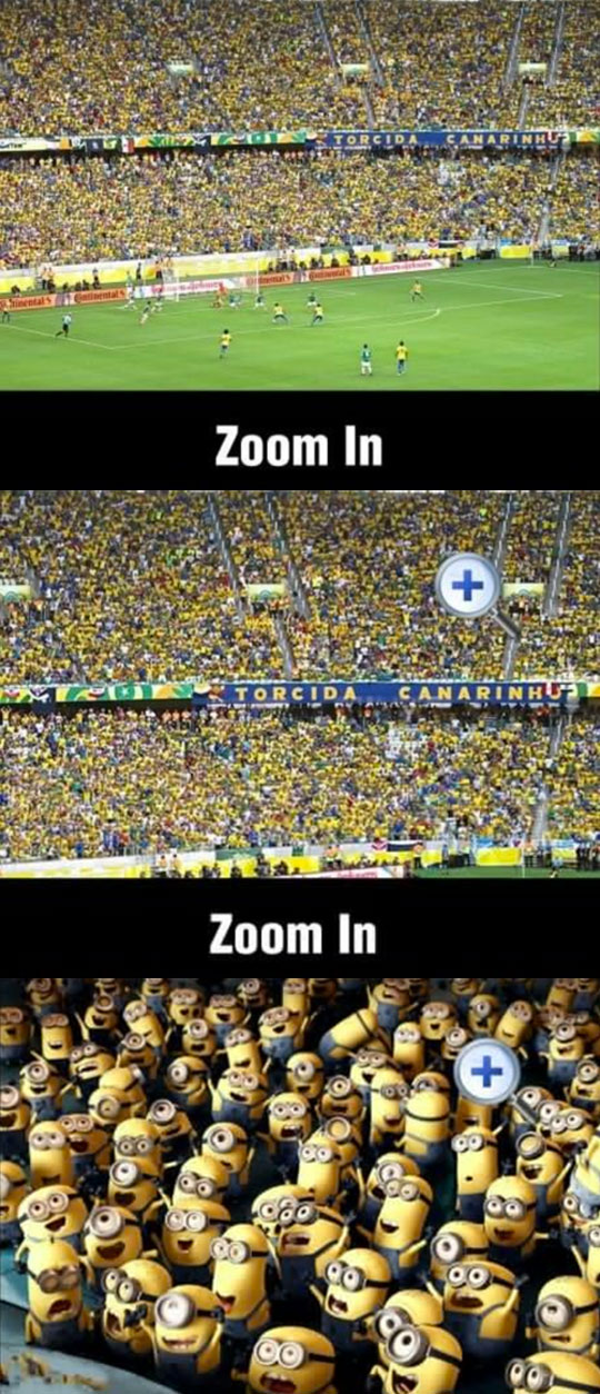 World Cup Zoom In