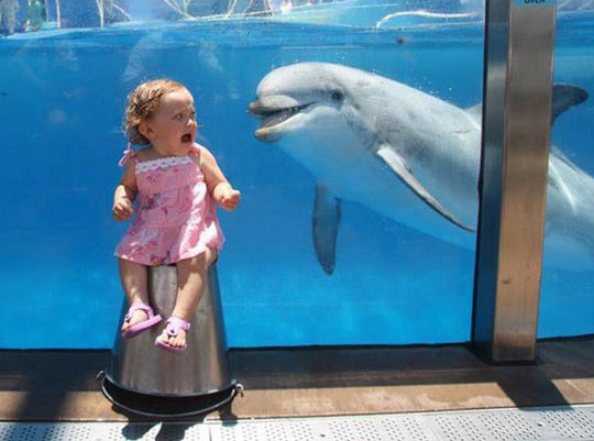 And Just Think, Her Parents Put Her There On Porpoise