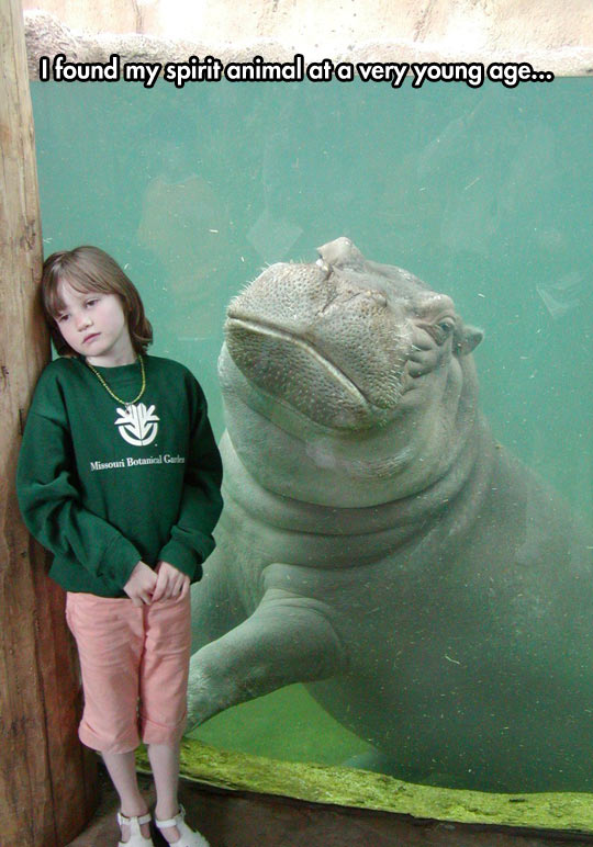 funny-girl-hippopotamus-zoo-sad
