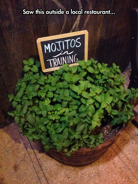 funny-mojitos-training-local-restaurant