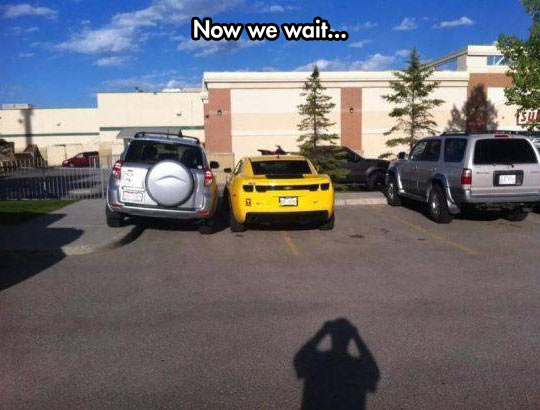 funny-parking-spot-car-bad-yellow-Camaro