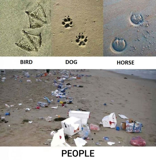 funny-people-footprints-animals-trash