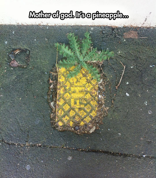 A Crushed Pineapple