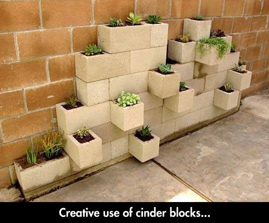 funny-plants-cinder-blocks-wall