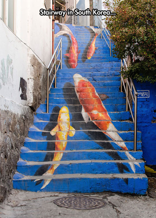 funny-stairs-fish-painting-steps