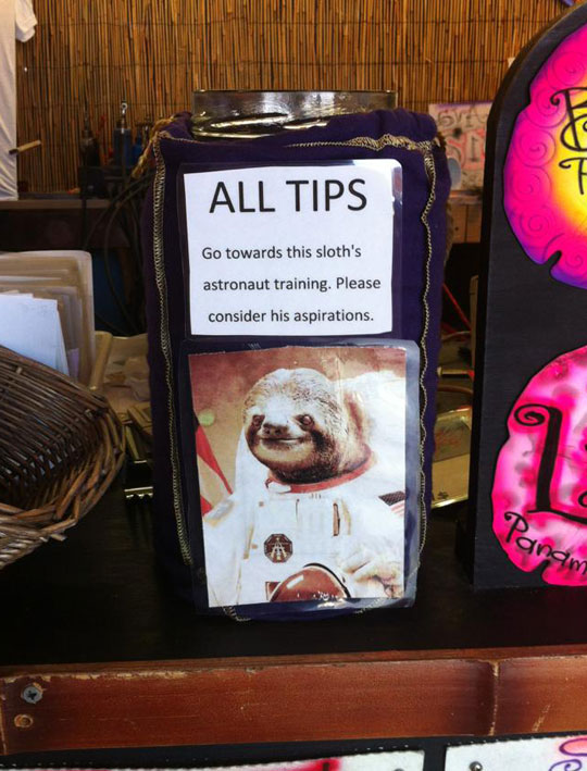 funny-tip-jar-sloth-training-aspiration