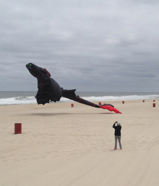 Awesome Toothless Kite On The Beach