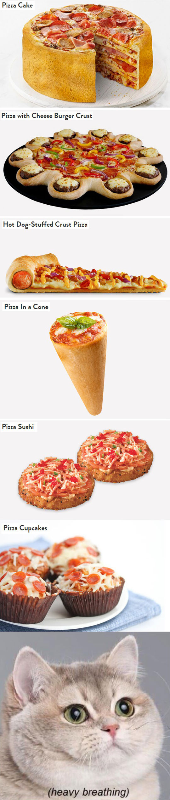 cool-food-pizza-sushi-cone