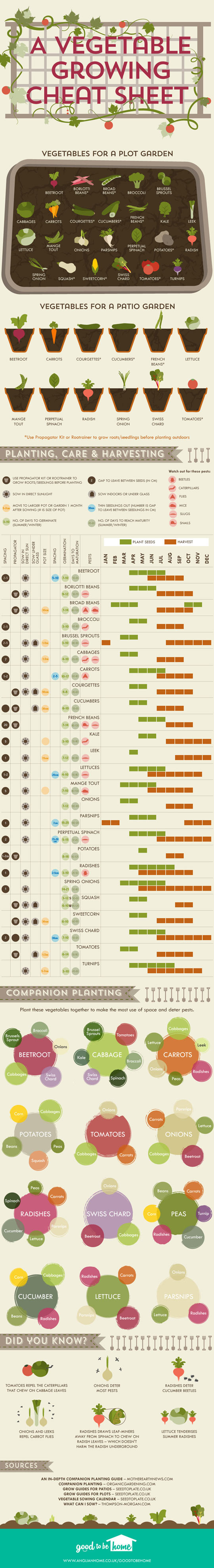 cool-vegetable-growing-cheat-sheet-garden