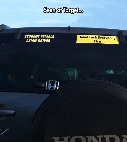 funny-Asian-female-student-driver