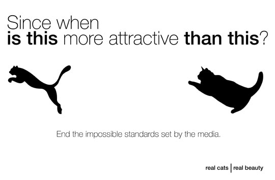 funny-Puma-fat-cat-impossible-standards