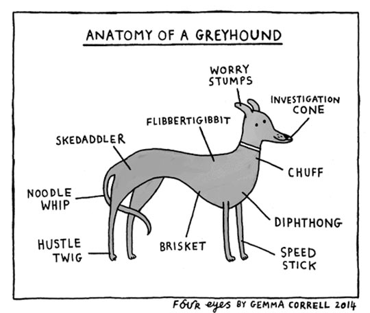 funny-anatomy-greyhound-brisket-hustle