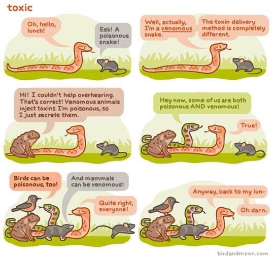 funny-animals-poison-venomous-snake-toad-comic