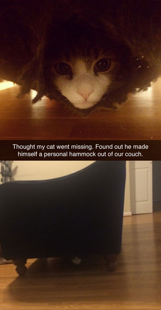 Personal Hammock