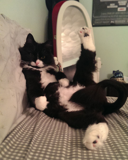 Draw Me Like One Of Your French Kitties