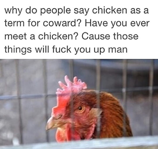 Have You Met A Chicken?