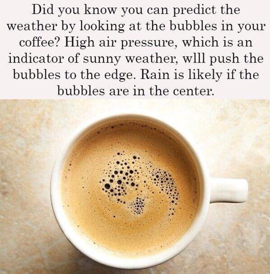 funny-coffee-mug-weather-bubble