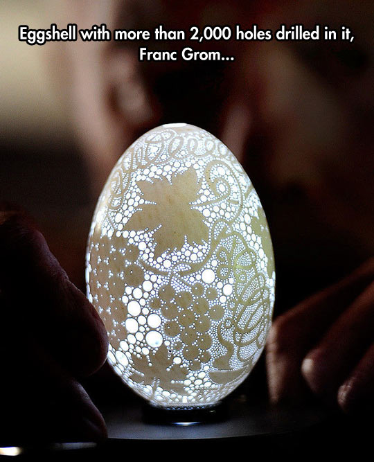 Beautiful Eggshell