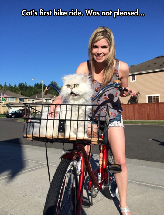 funny-girl-riding-bike-scared-cat