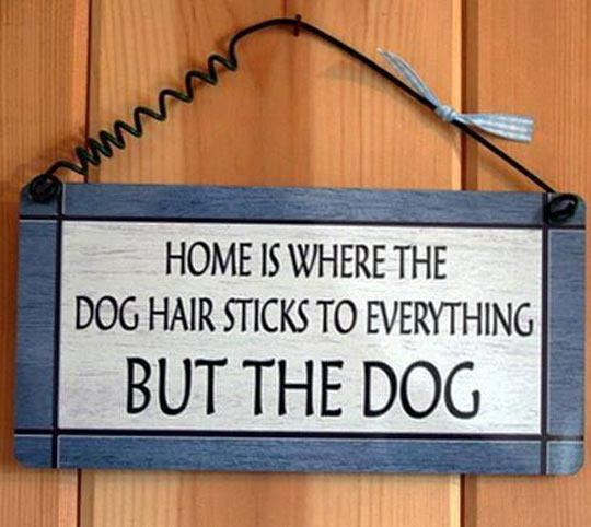 funny-home-sign-dog-hair