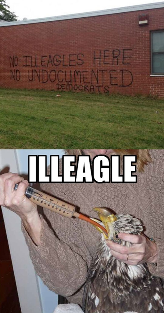 funny-misspell-graffiti-eagle