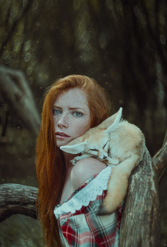 Red And Fox