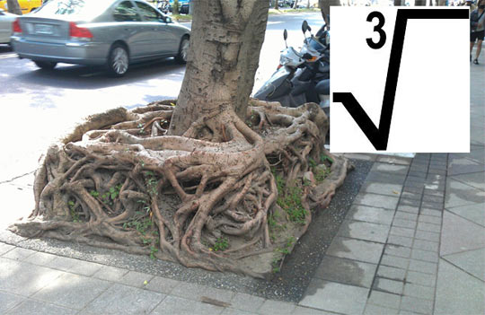 Square Root In Nature