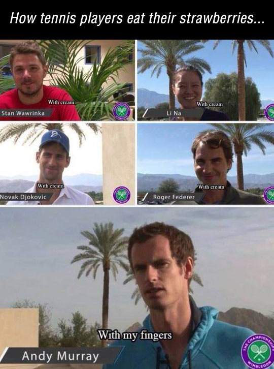 funny-tennis-Federer-Murray-strawberries-cream
