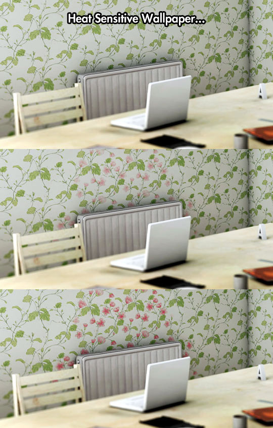 funny-wallpaper-heat-sensitive-computer
