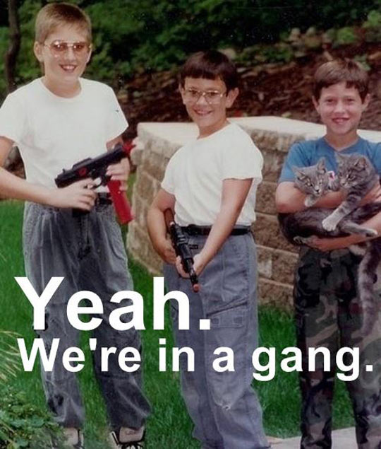 funny-weapon-cat-friends-gang