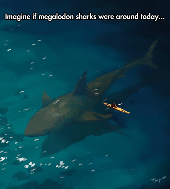 Megalodon Sharks: The Ocean Nightmare