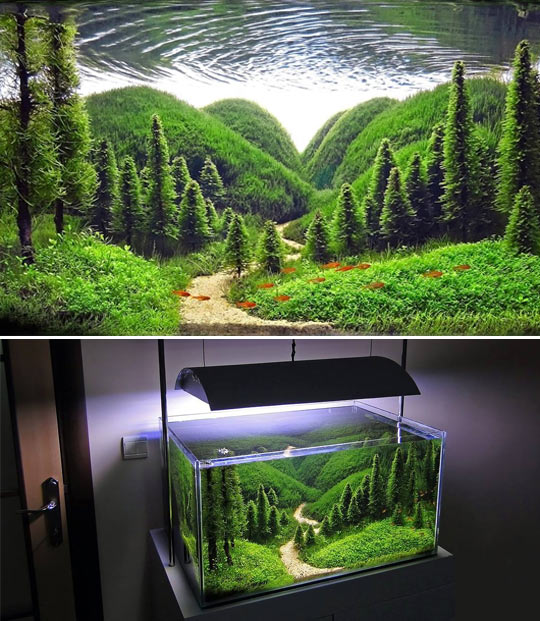 cool-aquarium-design-land-fish