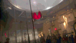 cool-gif-skydiving-simulator-boss