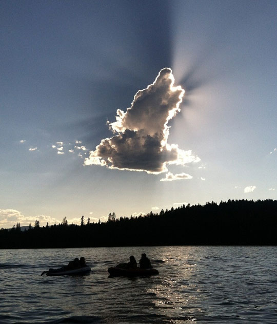Perfect Wolf Cloud