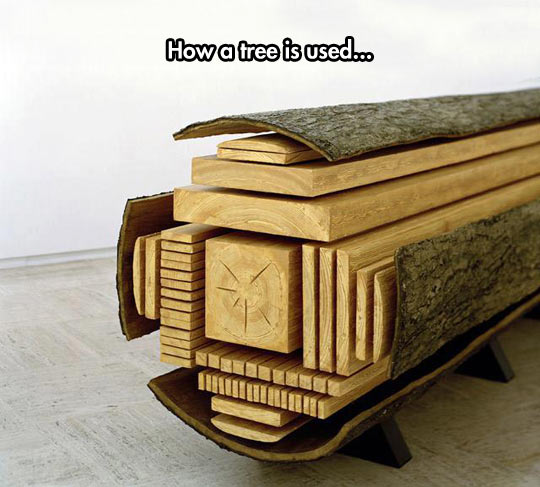 cool-wood-tree-cuts-cover