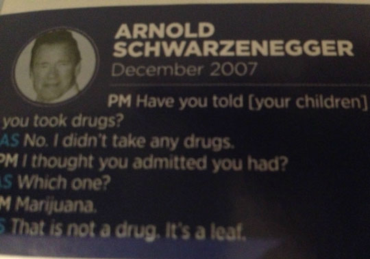 funny-Arnold-Schwarzenegger-interview-leaf-drug