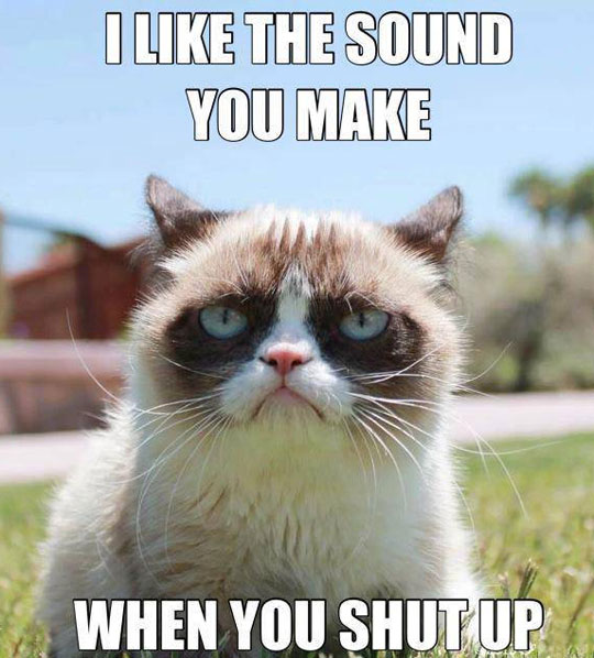 funny-Grumpy-Cat-sound-silence