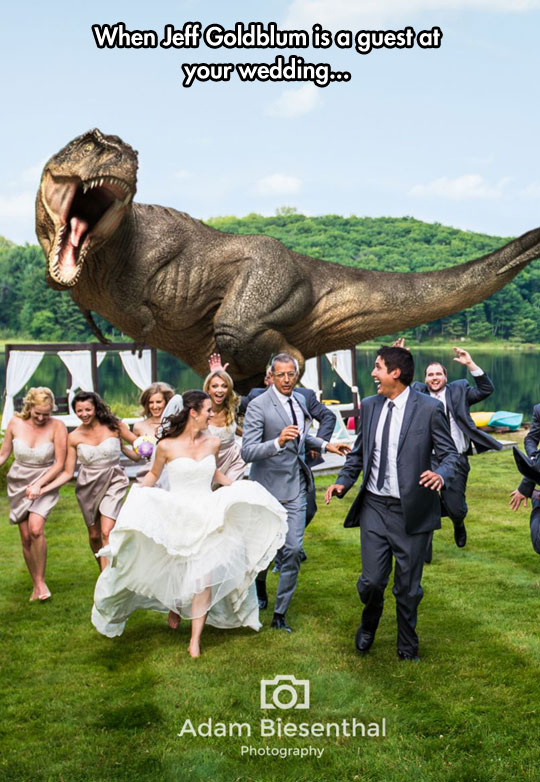 funny-Jeff-Goldblum-wedding-dinosaur