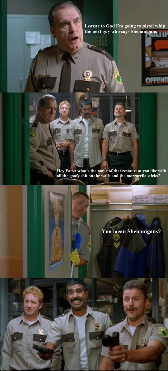 funny-TV-show-Reno-911-Shenanigans