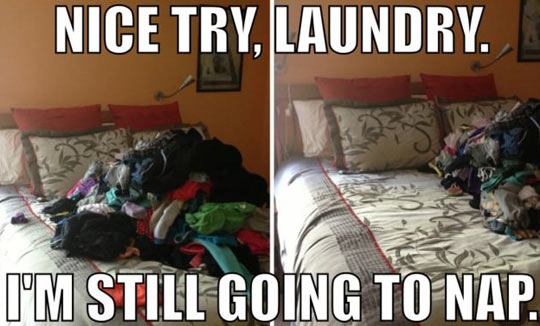 funny-bed-laundry-clothes-nap