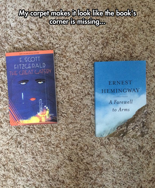 funny-carpet-book-corner-mountain