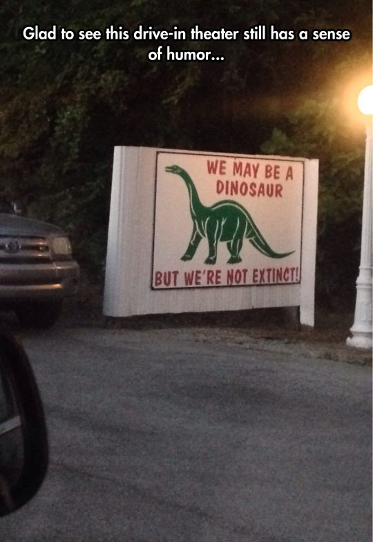 We May Be A Dinosaur