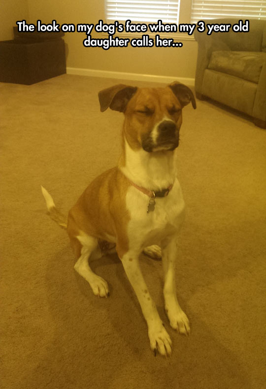 funny-face-daughter-close-eyes-dog
