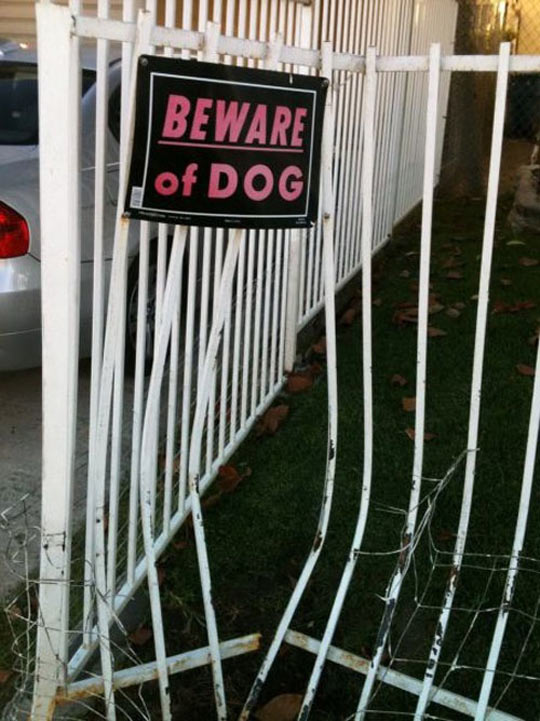 funny-fence-broken-beware-dog