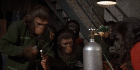 funny-gif-Planet-Apes-lighting-burner