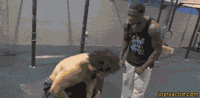 funny-gif-hardcore-workout-hula-hoop