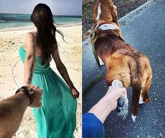 funny-girlfriend-dog-hold-hand
