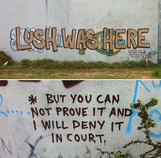 funny-graffiti-author-deny-court